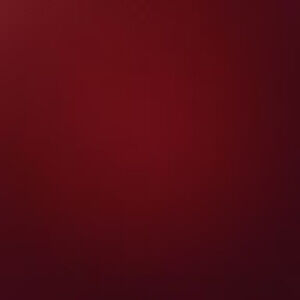 Meet your Posher, Nivedita